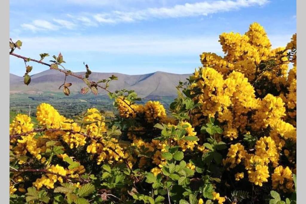 Corderry Farmhouse, Idyllic Cottage Amid 250 Acres Lisvernane المظهر الخارجي الصورة